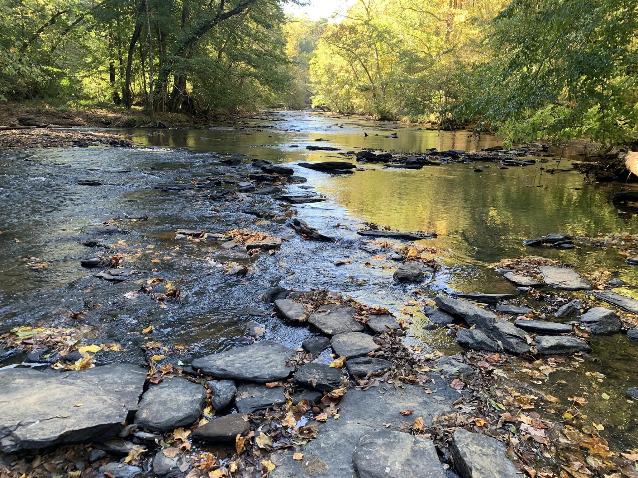 SEV 1 Party The low and high sev adventures of Molly Sheets.