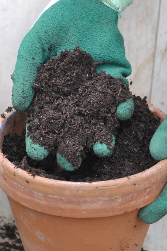 15 Great Ways To Reuse Old Potting Soil