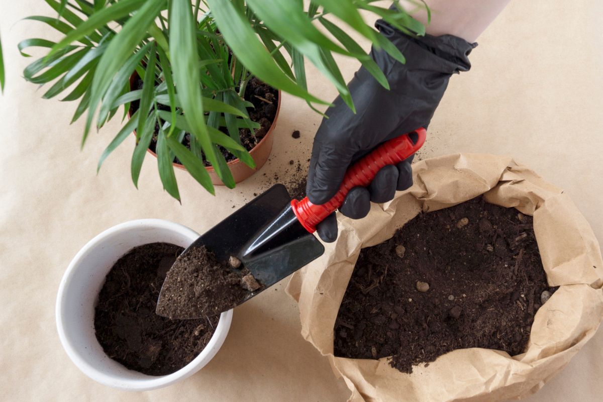 Don’t Throw Away Your Old Potting Soil. Here Are 9 Ways To Reuse And