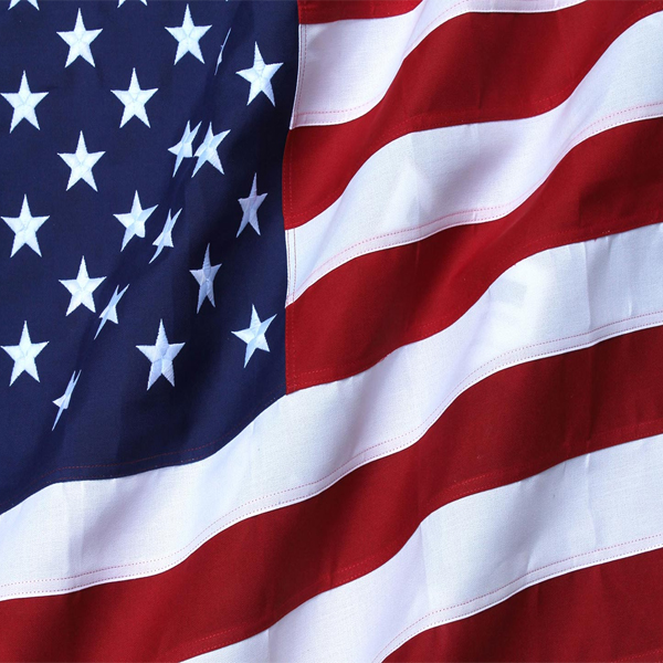 Molon Gearmotors Home