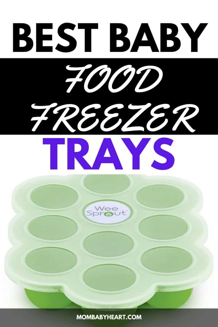 7 Best Baby Food Freezer Trays Mom Baby Heart