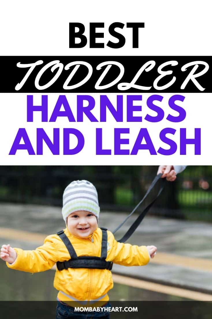9 Best Toddler Harness And Leash Mom Baby Heart