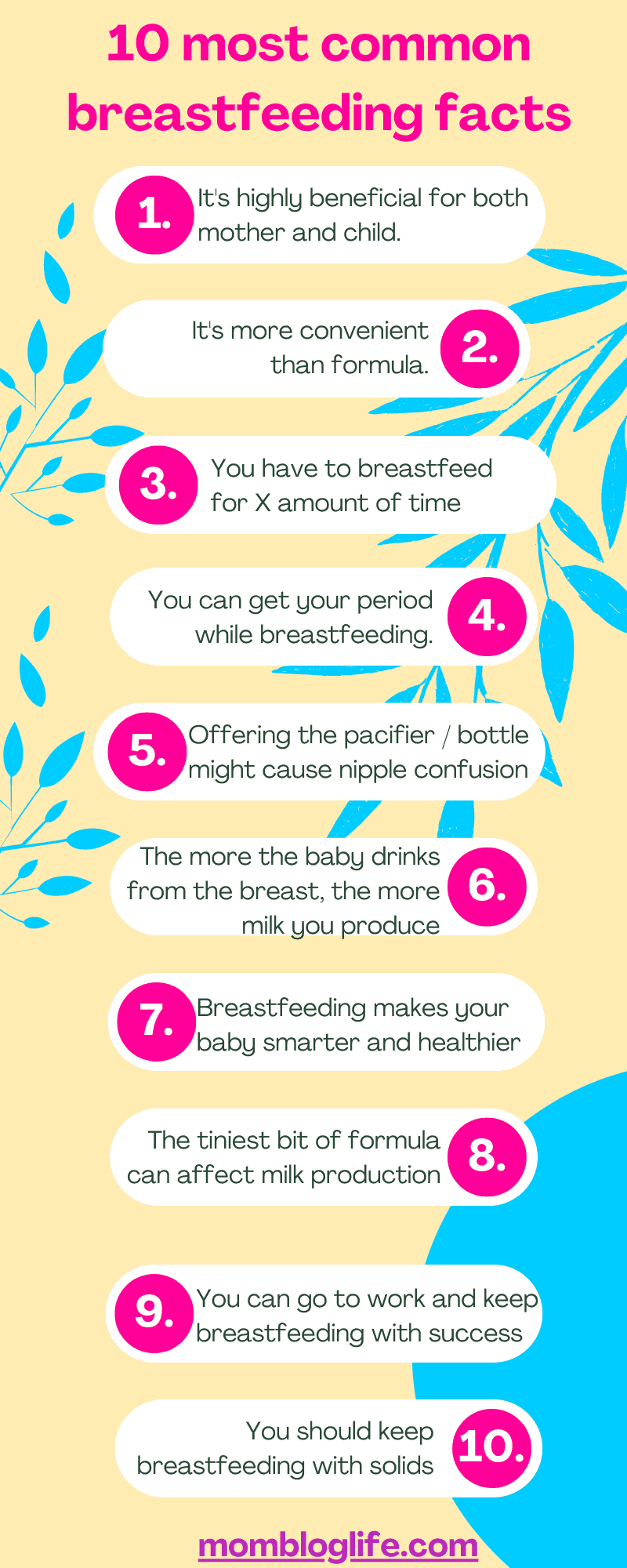 10 Breastfeeding Myths and Facts Every Pregnant Woman Should Know Mom