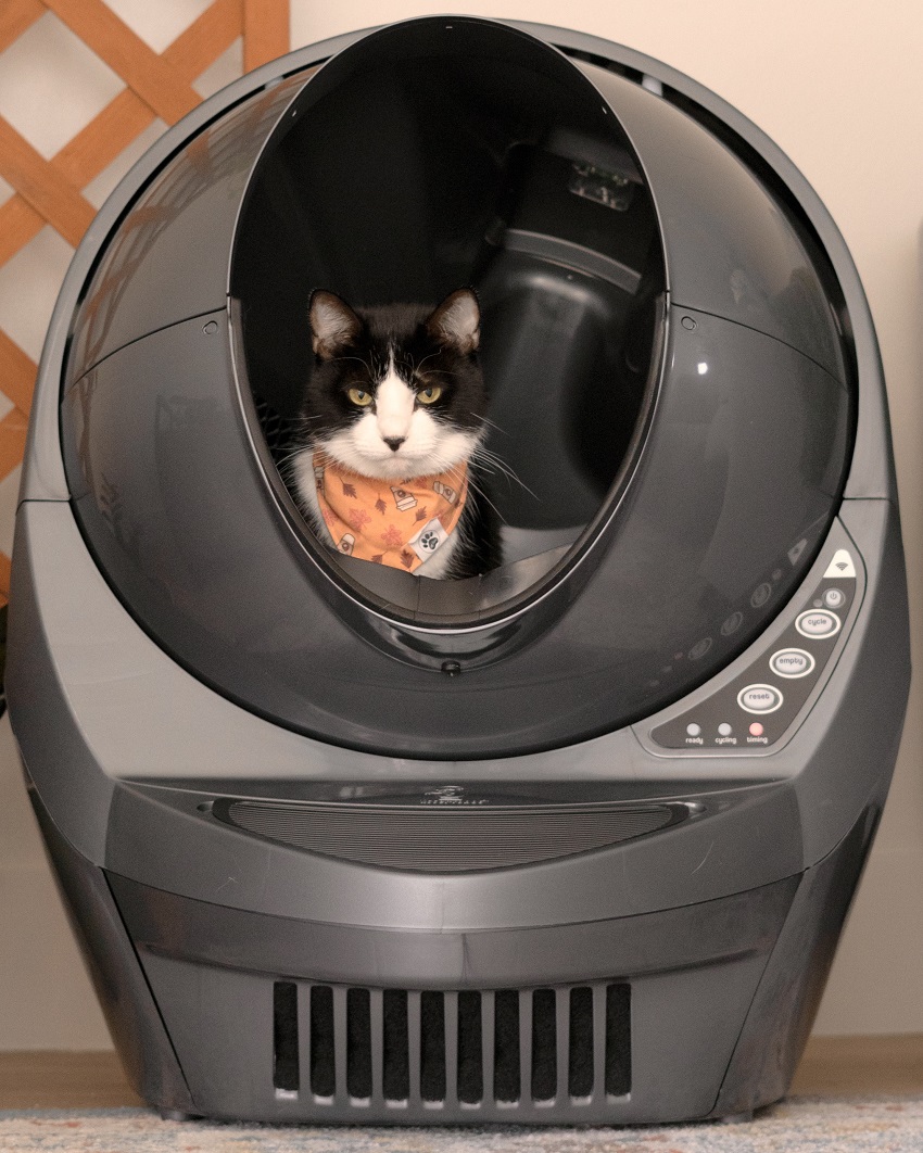 Honest Viewpoint of the LitterRobot3 Mom Blog Society