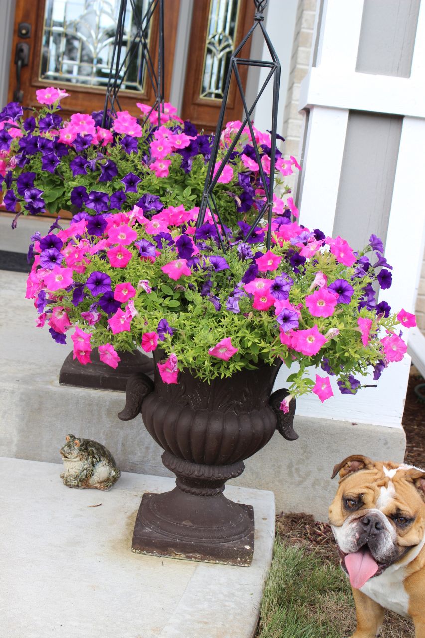 Pretty Planters (20 of them)! Momcrieff