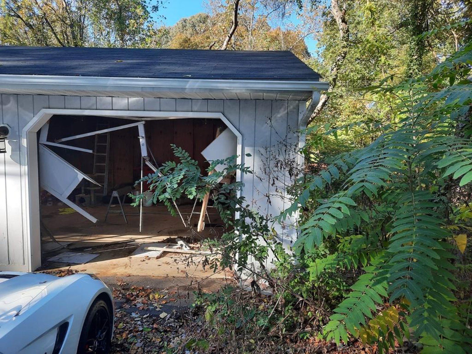 Pinellas county Momentum Garage Door