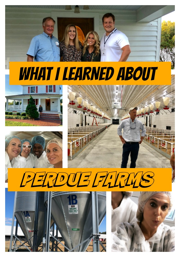 What I Learned About Perdue Farms Stylish Life for Moms