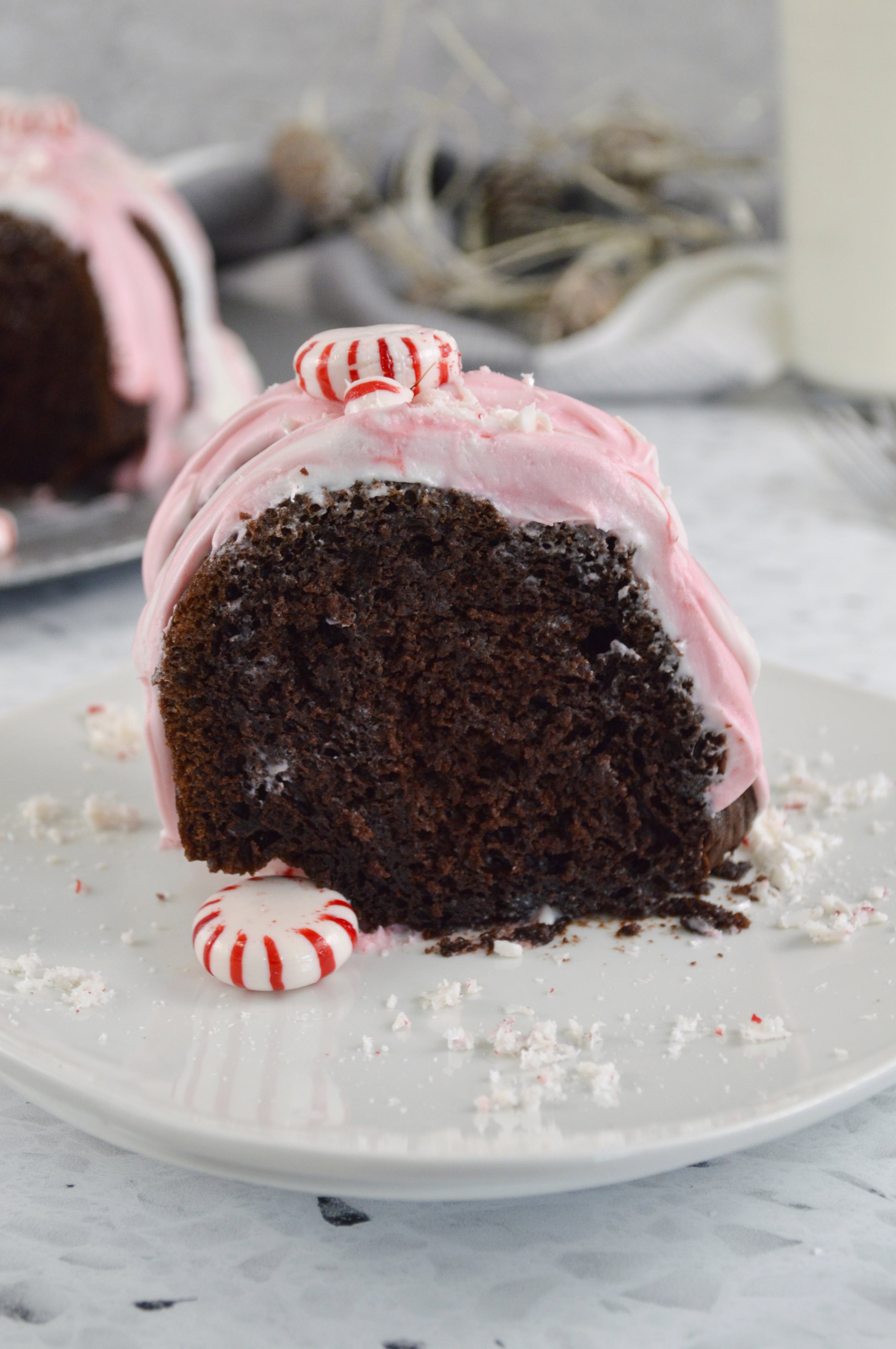 Chocolate Peppermint Bundt Cake mom makes dinner