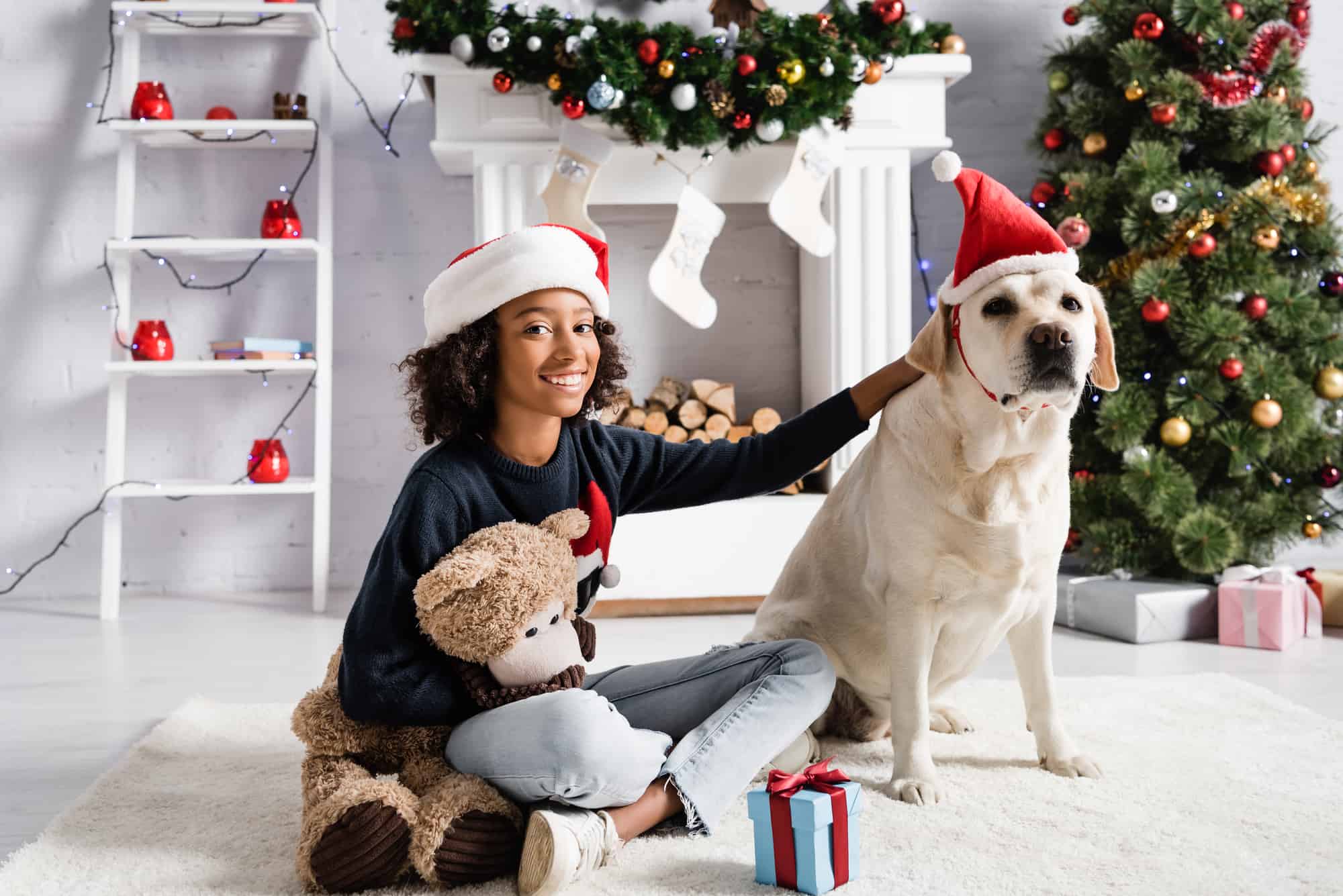 christmas dog