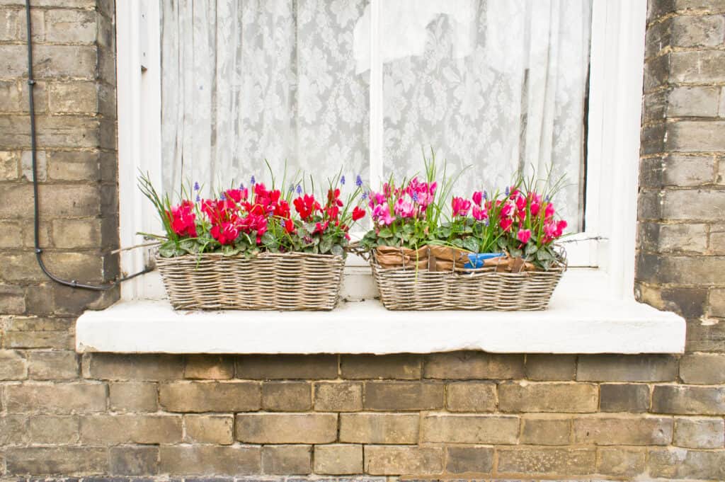 Two baskets on a window containing spring flowers