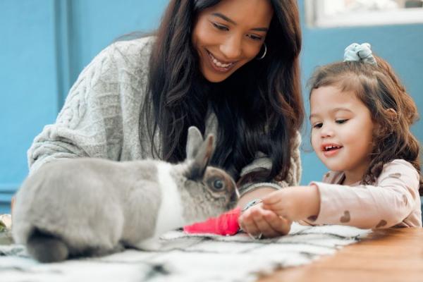 Unique Bunny Names Girl 400 Ideas For Floppyeared Friend