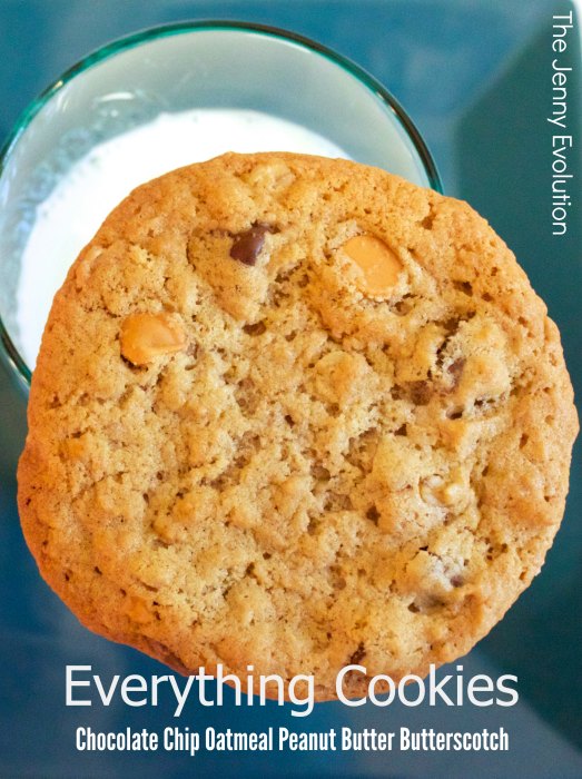 Everything Cookies Recipe Chocolate Oatmeal PB Butterscotch