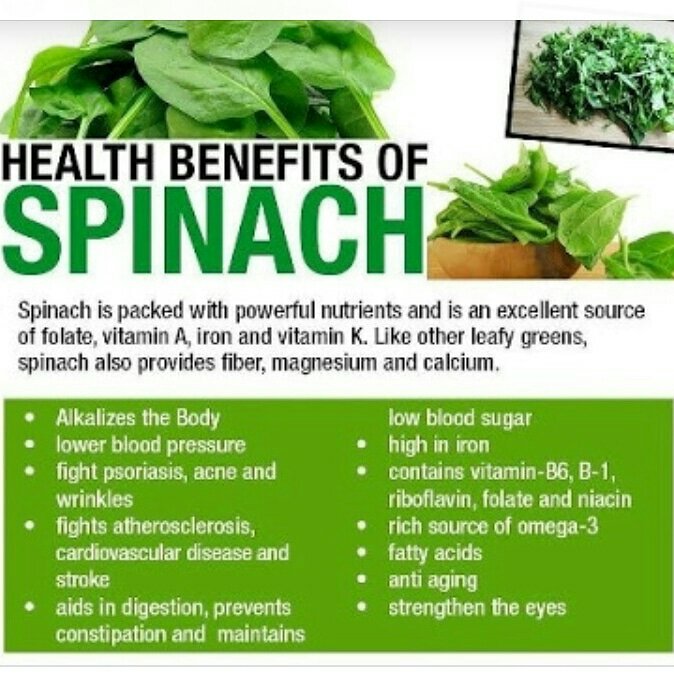 Health Benefits of Spinach mommy_lil_world.talks