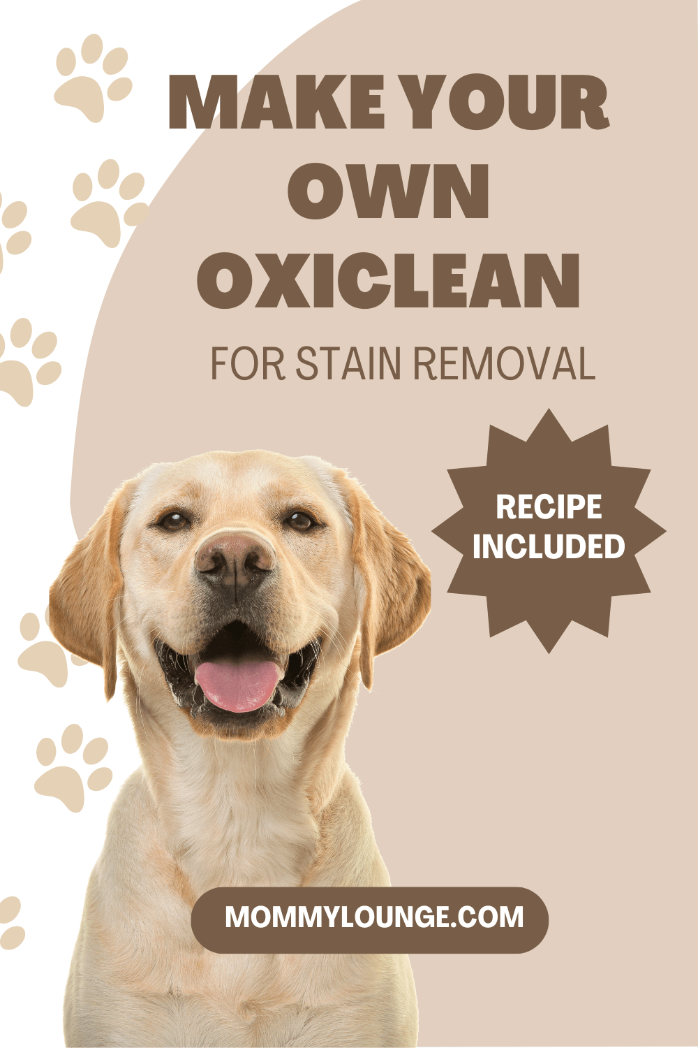 How To Make Homemade Oxiclean Spray A DIY Version