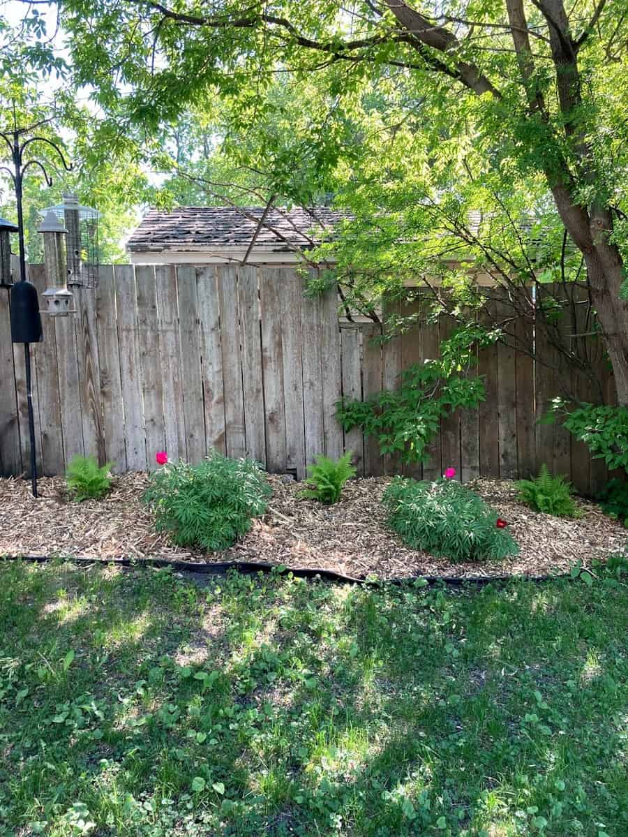 Easy garden weed control without chemicals Mommy Moment