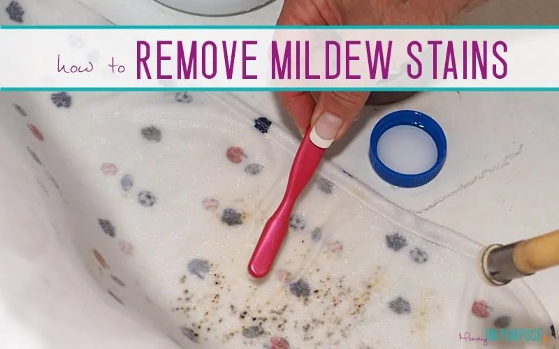 How to Remove Mildew From Clothes or Baby Blankets (without ruining