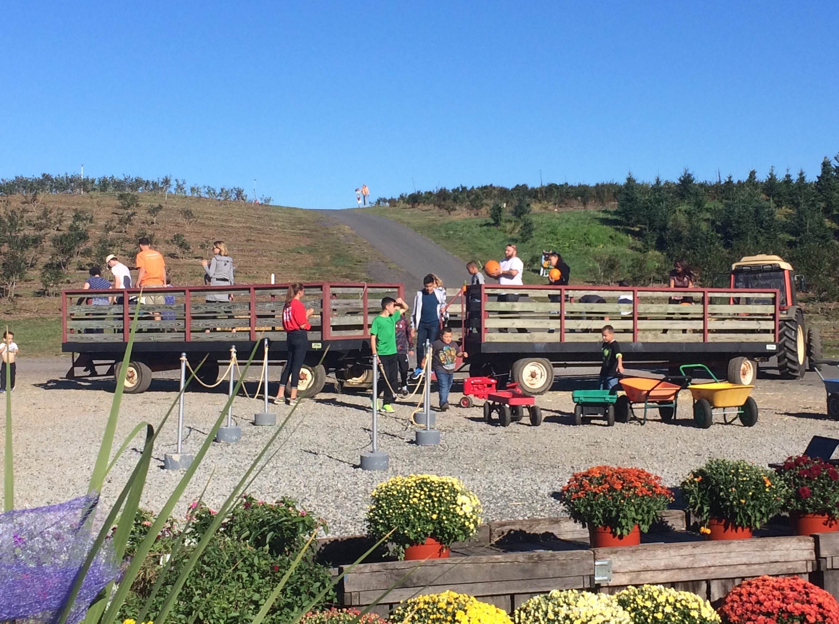 Fall Fun at Rose's Berry Farm in Glastonbury Mommy Poppins Things