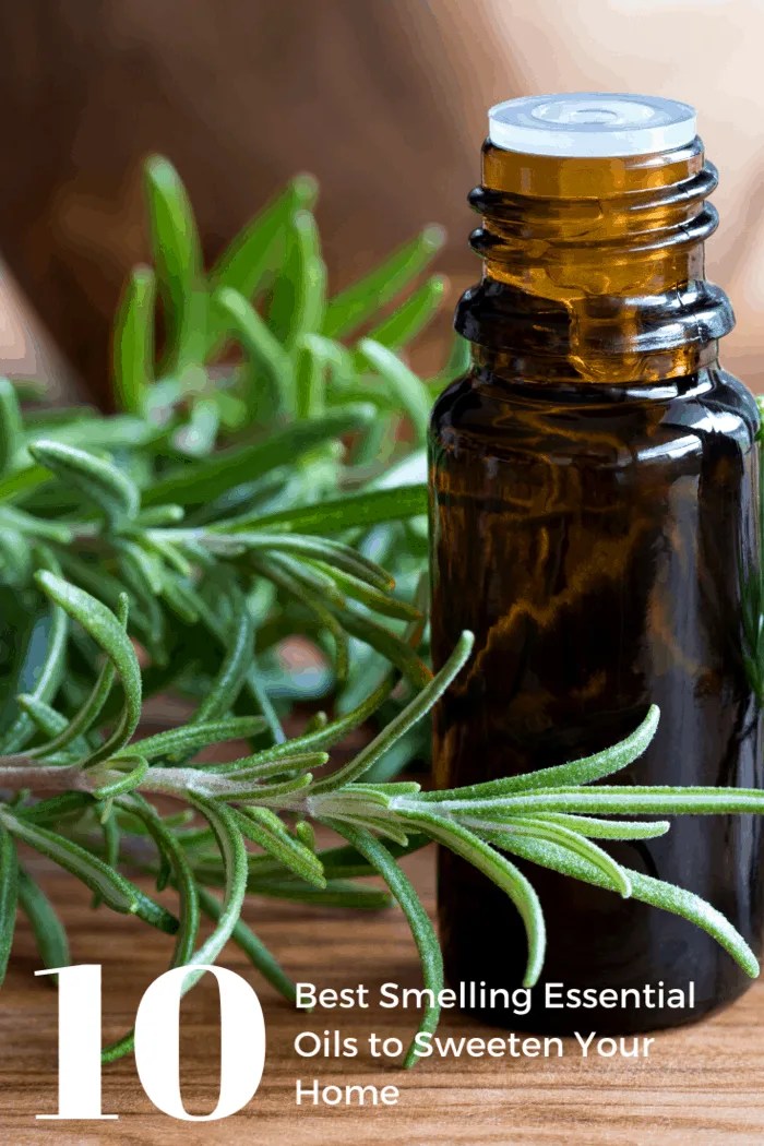 10 Best Smelling Essential Oils to Sweeten Your Home
