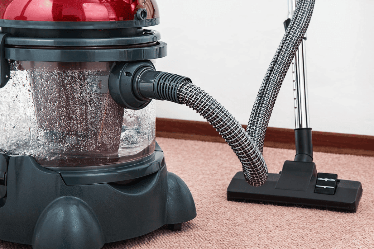 Does Steam Cleaning Kill Carpet Beetle Larvae Review Home Co