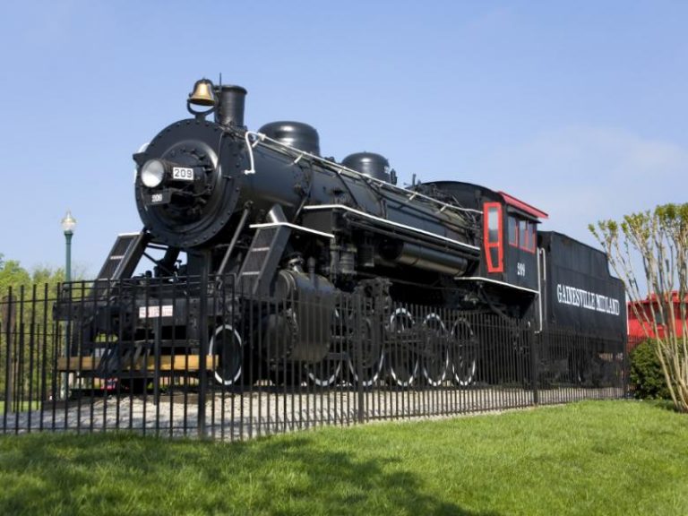 Things to do with kids in Gainesville,