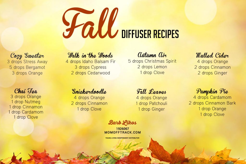 Essential Oil Diffuser Blends for Fall Mom Off Track