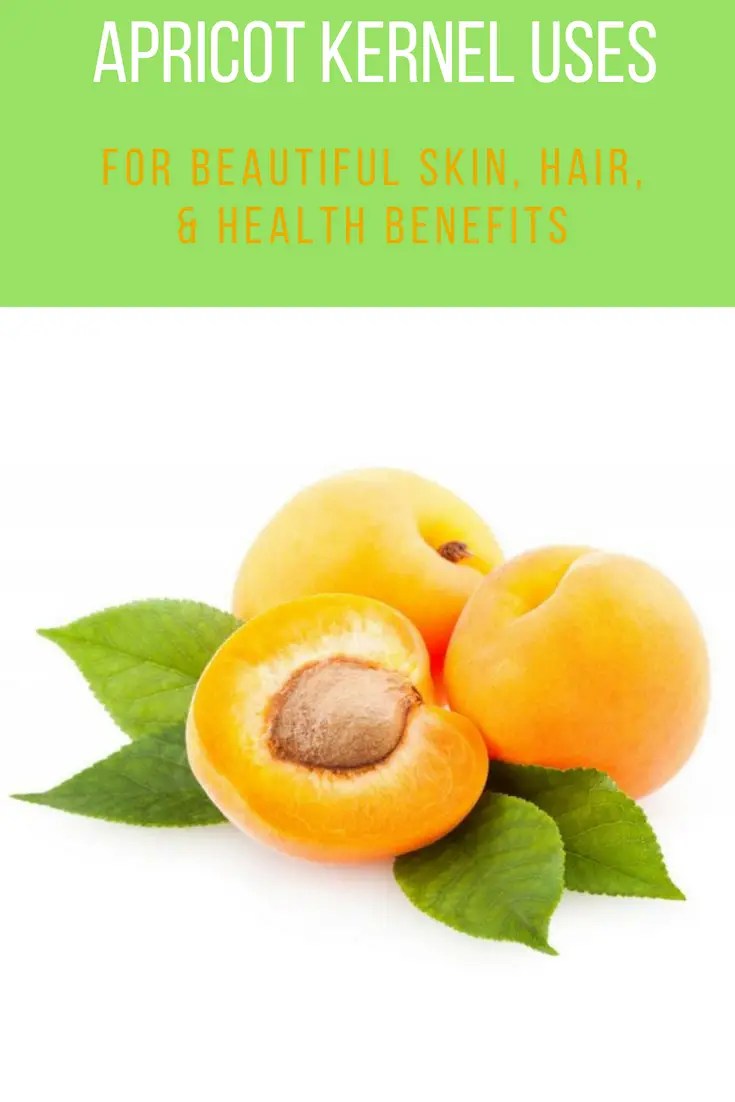 Apricot Kernel Oil Uses For Beautiful Skin Mom Prepares