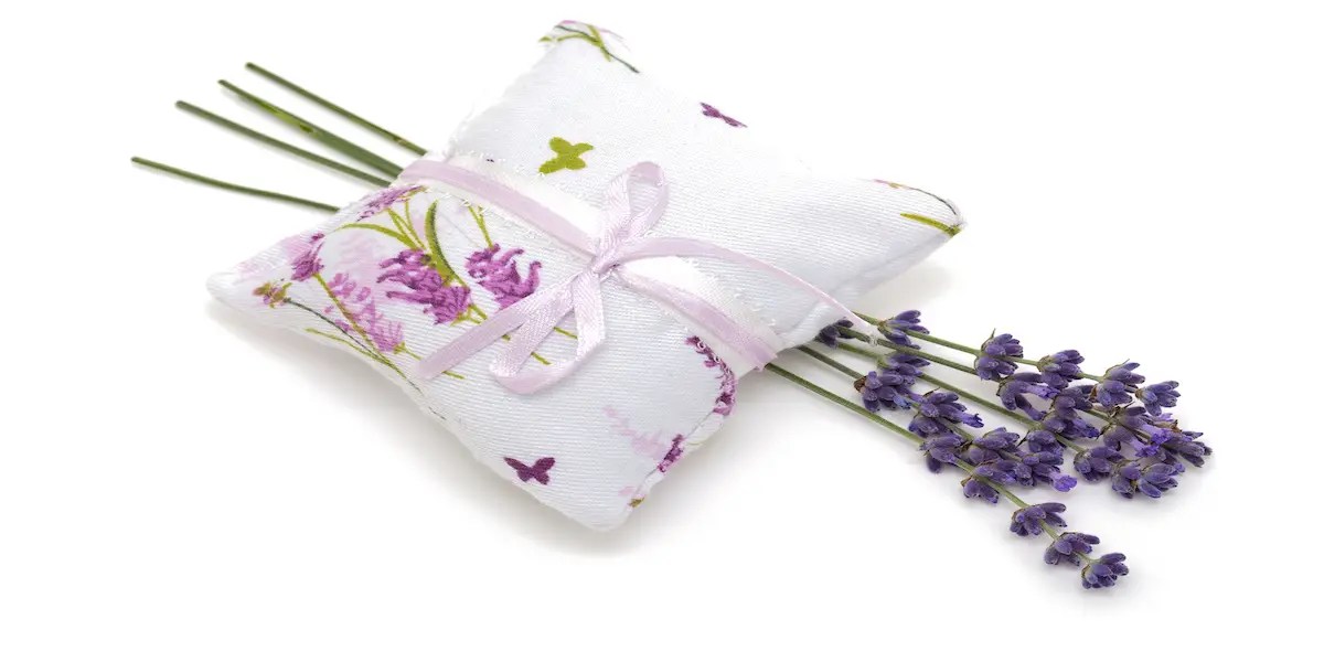 The Pros & Cons Of Using A Lavender Pillow Mom Prepares