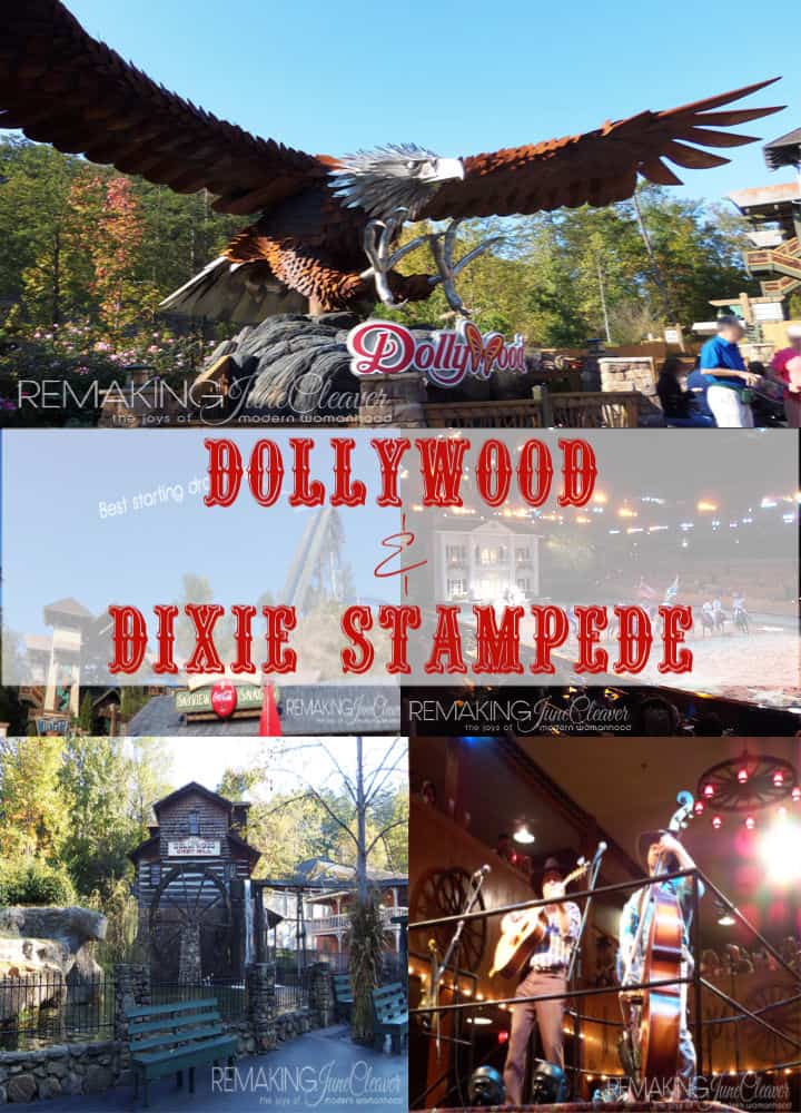 Dollywood and Dixie Stampede MomSkoop