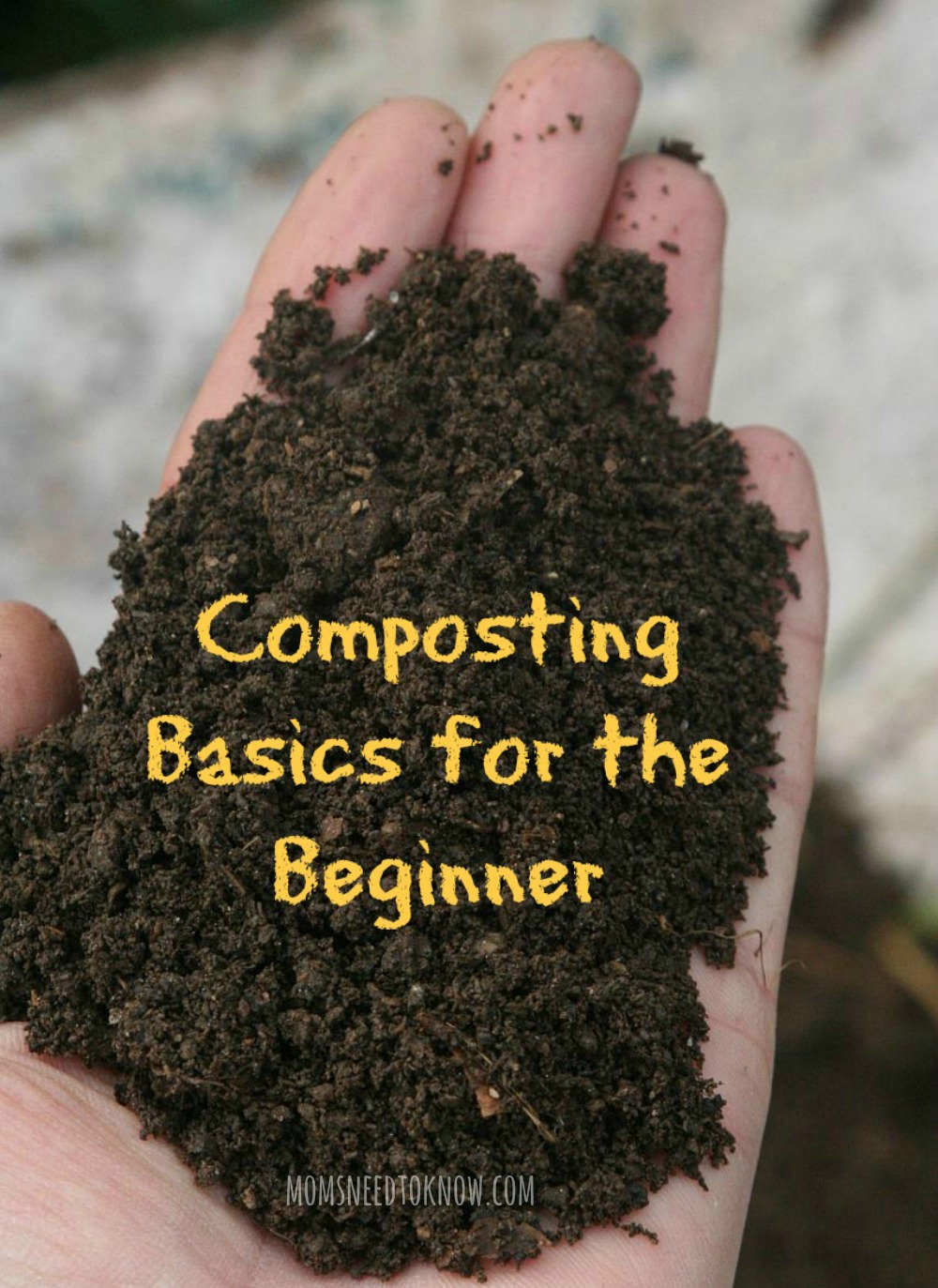 Composting Basics How To Get Started With Composting Moms Need To