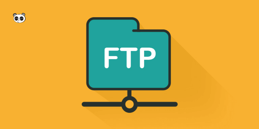 FTP là gì? Tổng hợp kiến thức cần biết về giao thức FTP The first