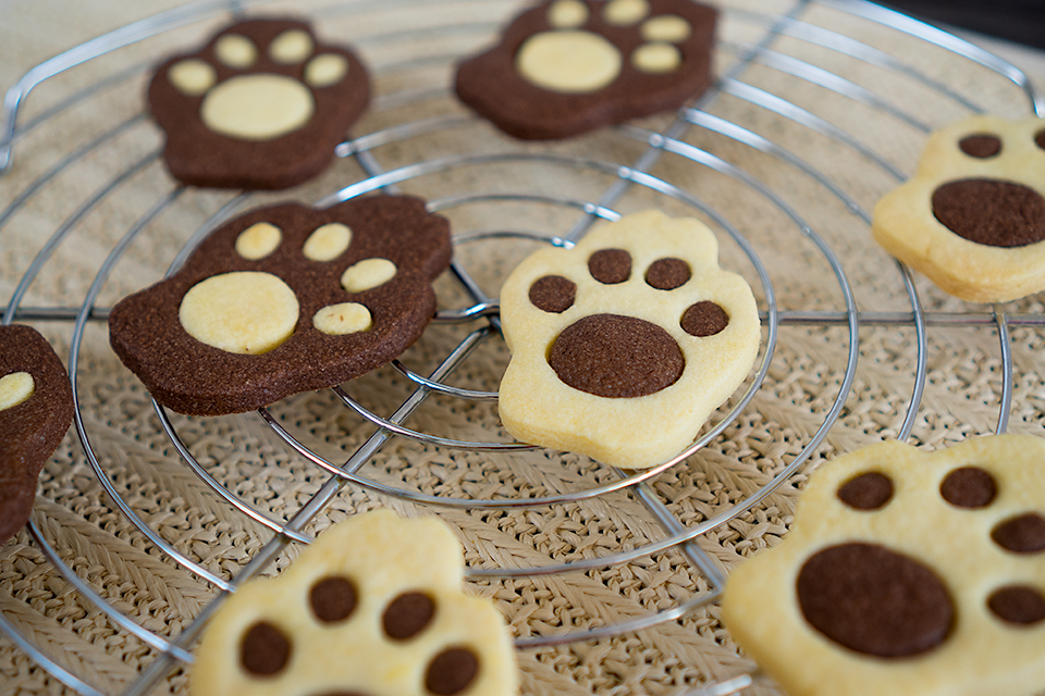 肉球クッキー もなみのパン屋さん