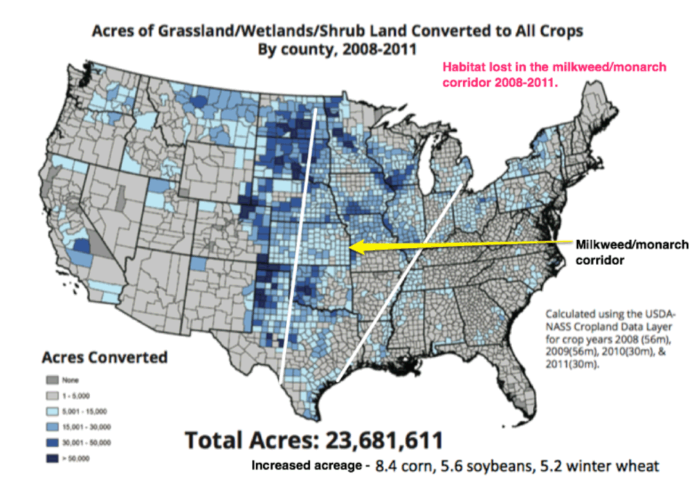 Monarch Watch » Blog Archive Monarch Butterfly Recovery Plan Monarch