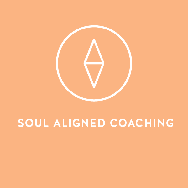 Soul Realignment Mona Shibel l SoulAligned Coach and Intuitive