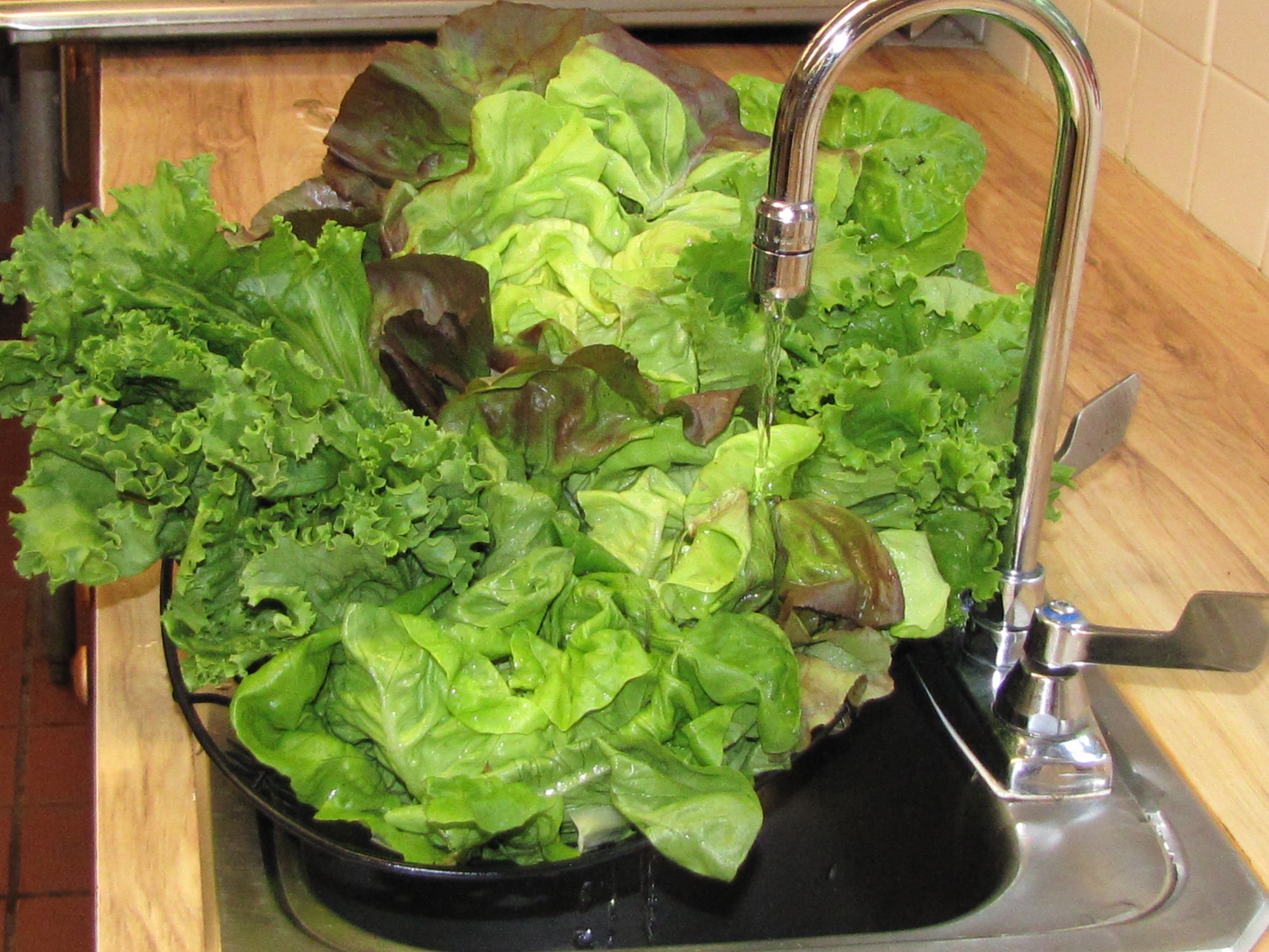 Asian Lettuce Wraps Recipes from a Monastery Kitchen