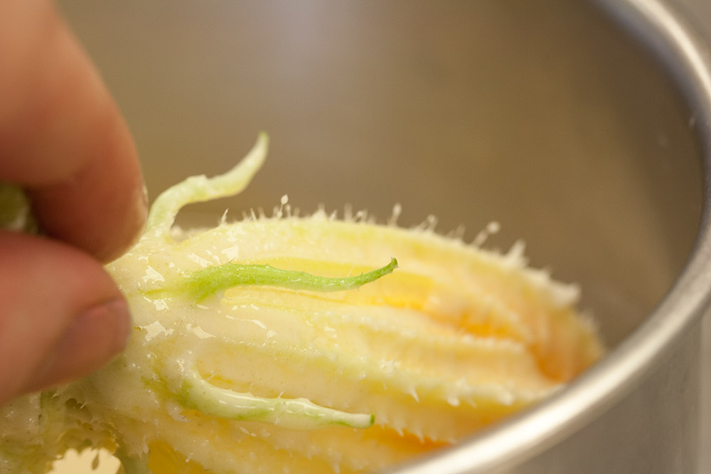 Fried Squash Blossoms Recipes from a Monastery Kitchen