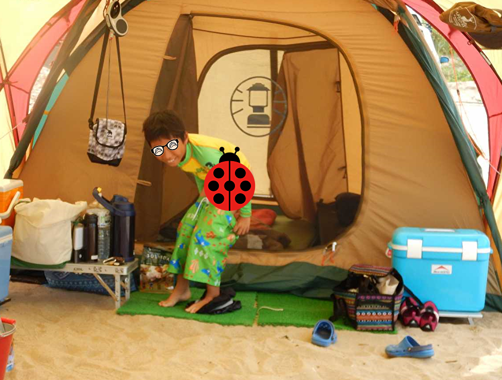 【ペットと子供連れでオートキャンプ】最低限これだけば持っていこう！