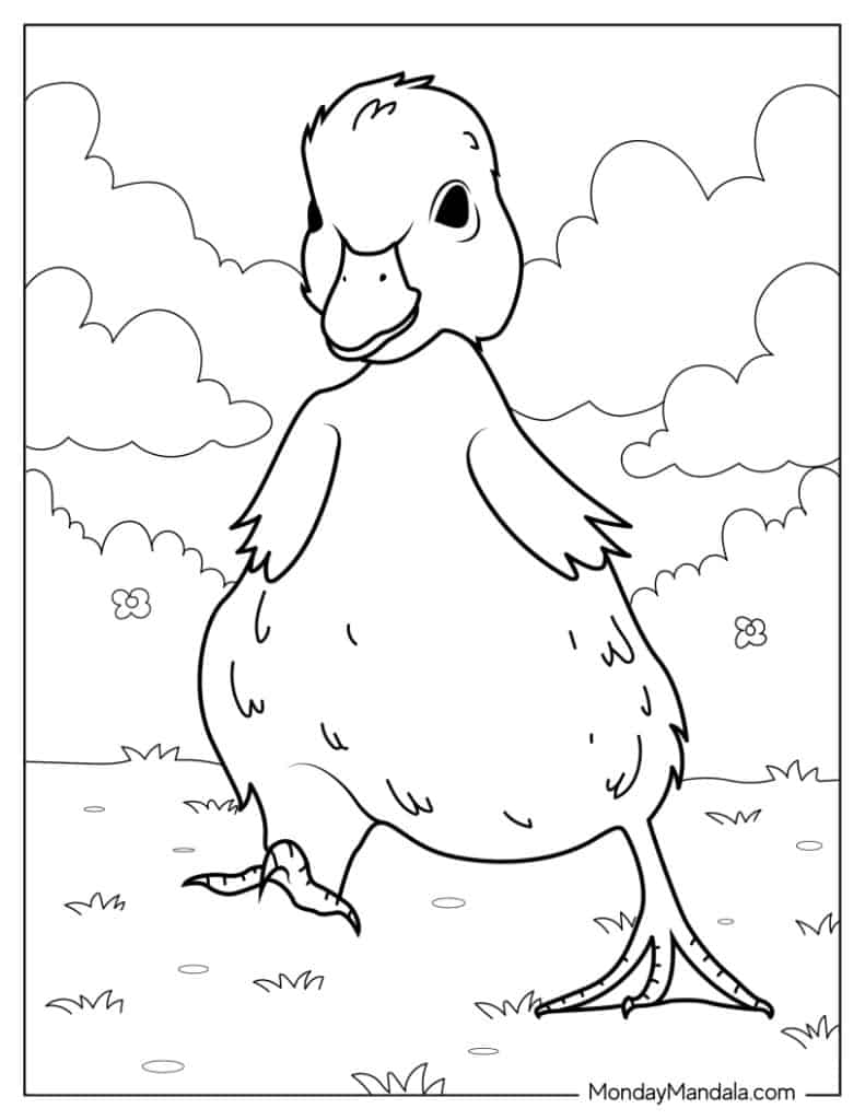 Ugly Duckling Coloring Page