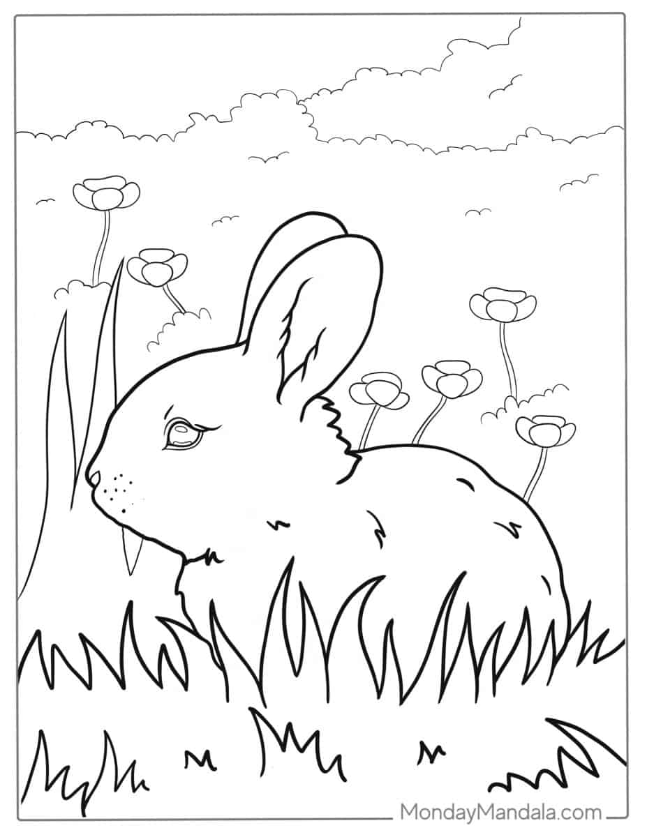 32 Rabbit Coloring Pages (Free PDF Printables)