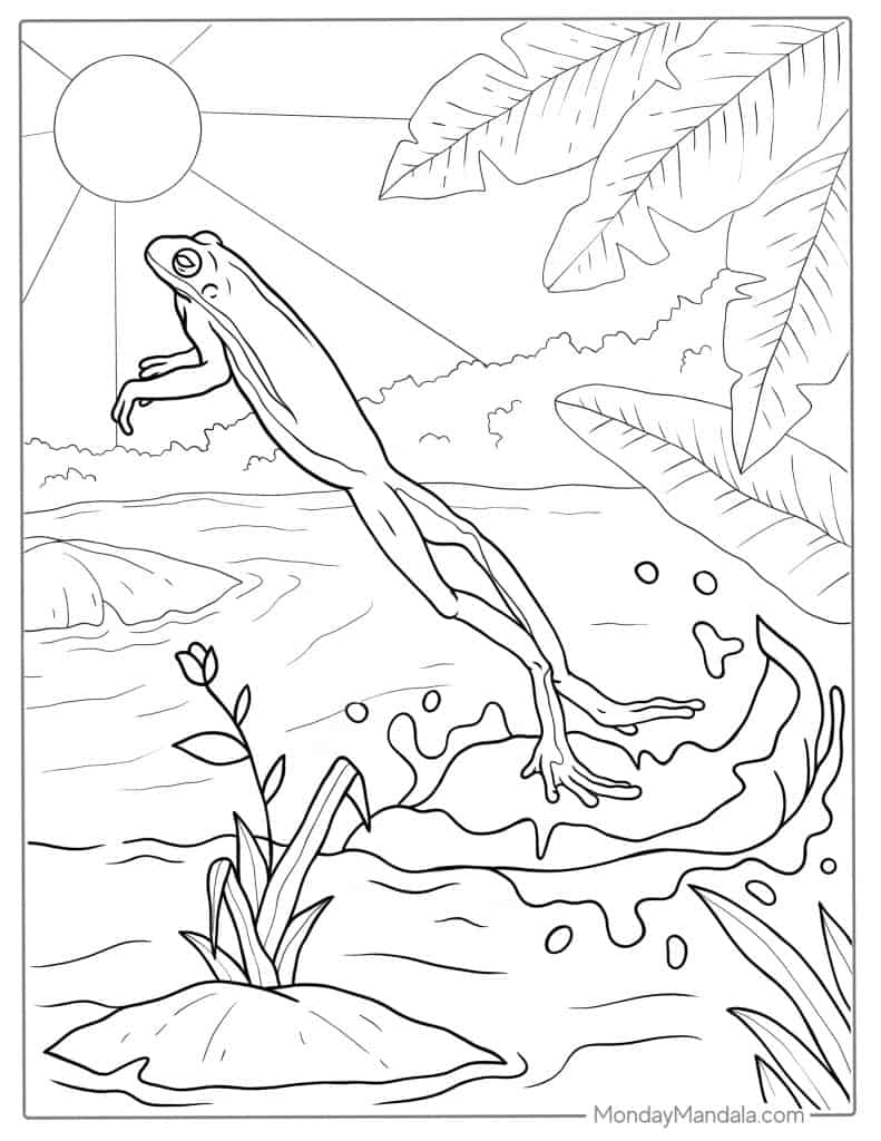 Jumping Frog Coloring Page