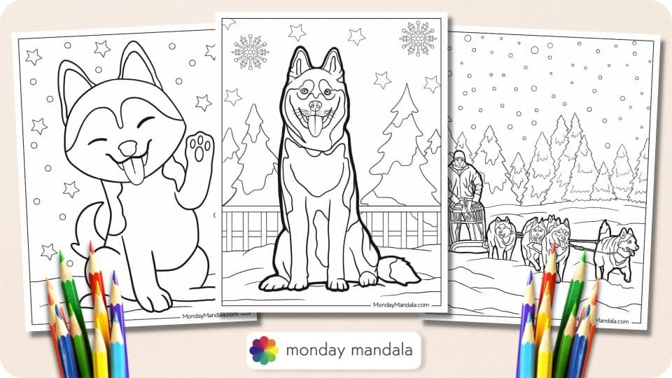 20 Husky Coloring Pages (Free PDF Printables)