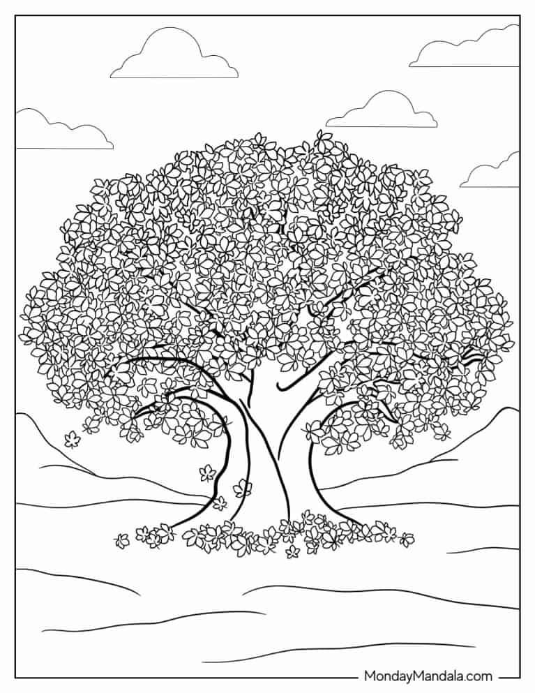 Maple Tree Coloring Page