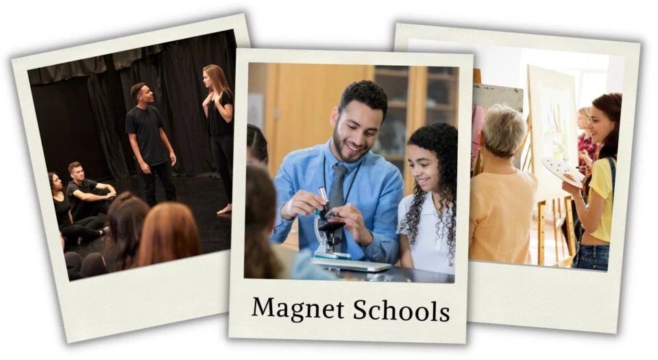 46 Types of Schools: With 21 You Likely Didn't Know Existed