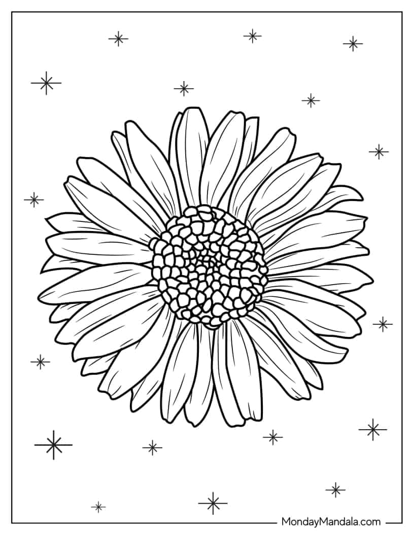20 Cute Daisy Coloring Pages (Free PDF Printables)