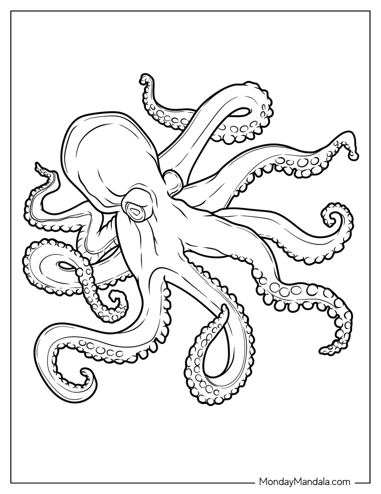 26 Octopus Coloring Pages (Free PDF Printables)
