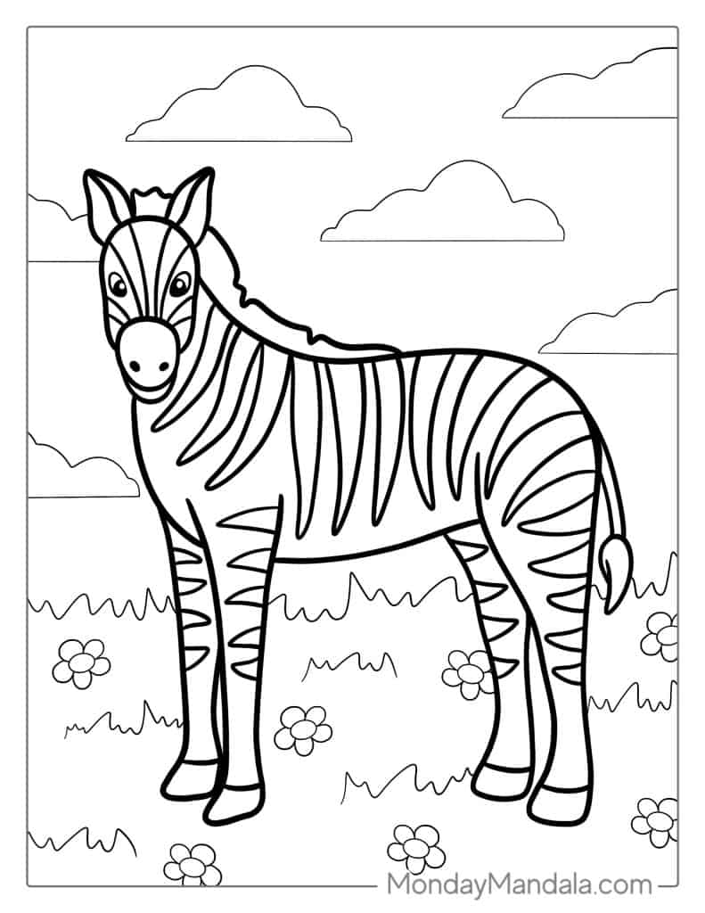 Zebra Coloring Pages