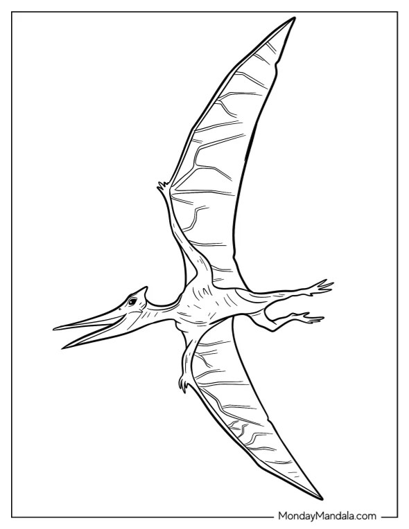20 Pterodactyl Coloring Pages (Free PDF Printables)