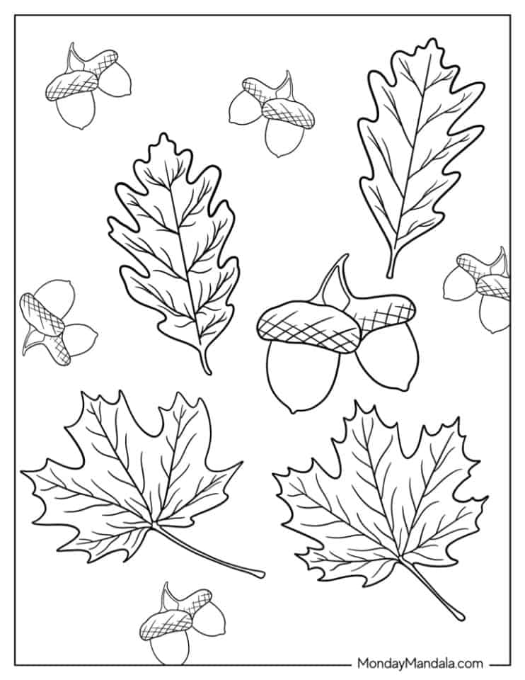 20 Fall Leaves Coloring Pages (Free PDF Printables)