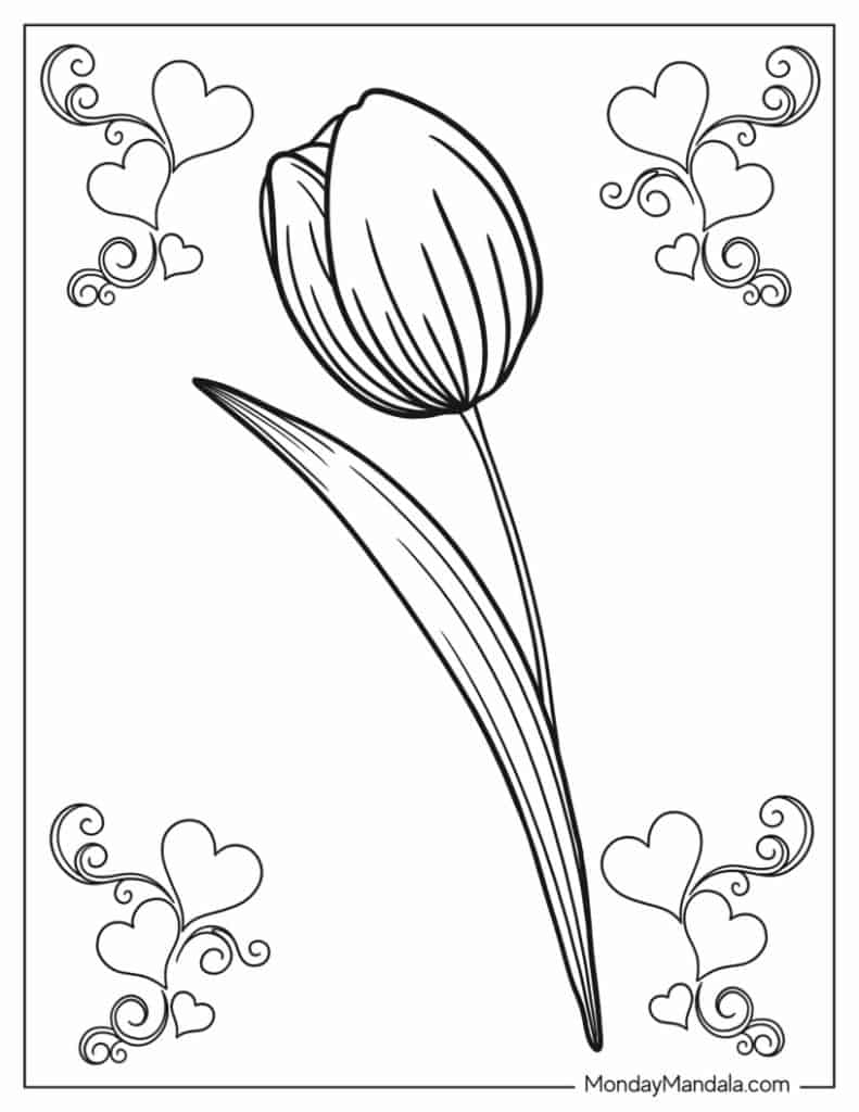 Tulips Coloring Pages For Kids
