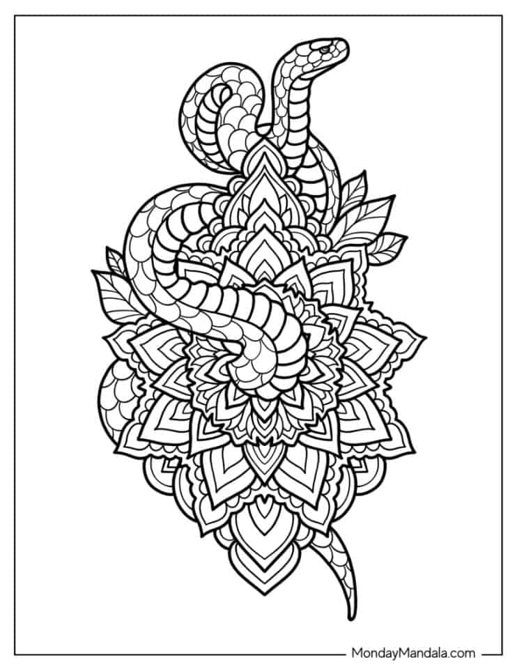 40 Snake Coloring Pages (Free PDF Printables)