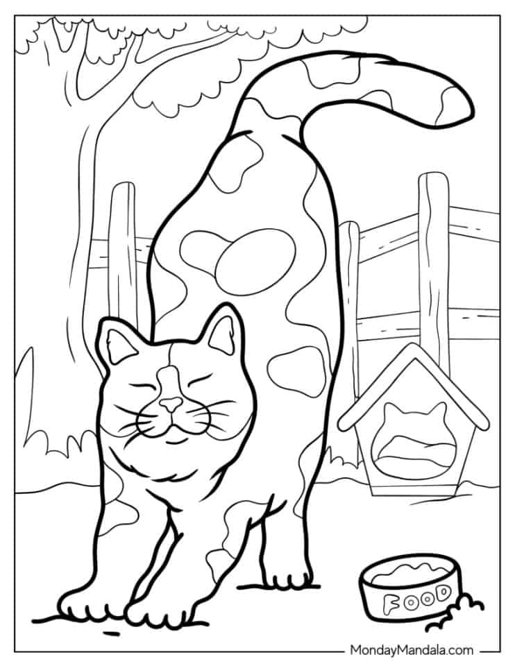 56 Cat Coloring Pages (Free PDF Printables)